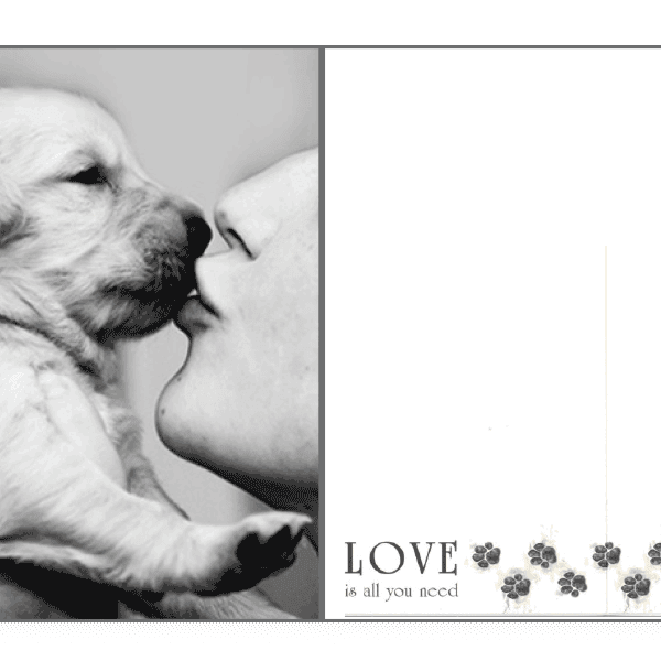Love Is All You Need Card - Rocky & Maggie's Pet Boutique and Salon