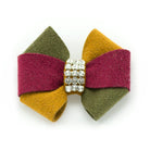 Autumn Hair Bow - Rocky & Maggie's Pet Boutique and Salon