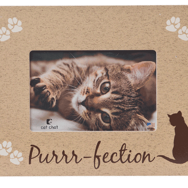 Purrfection Frame - Rocky & Maggie's Pet Boutique and Salon