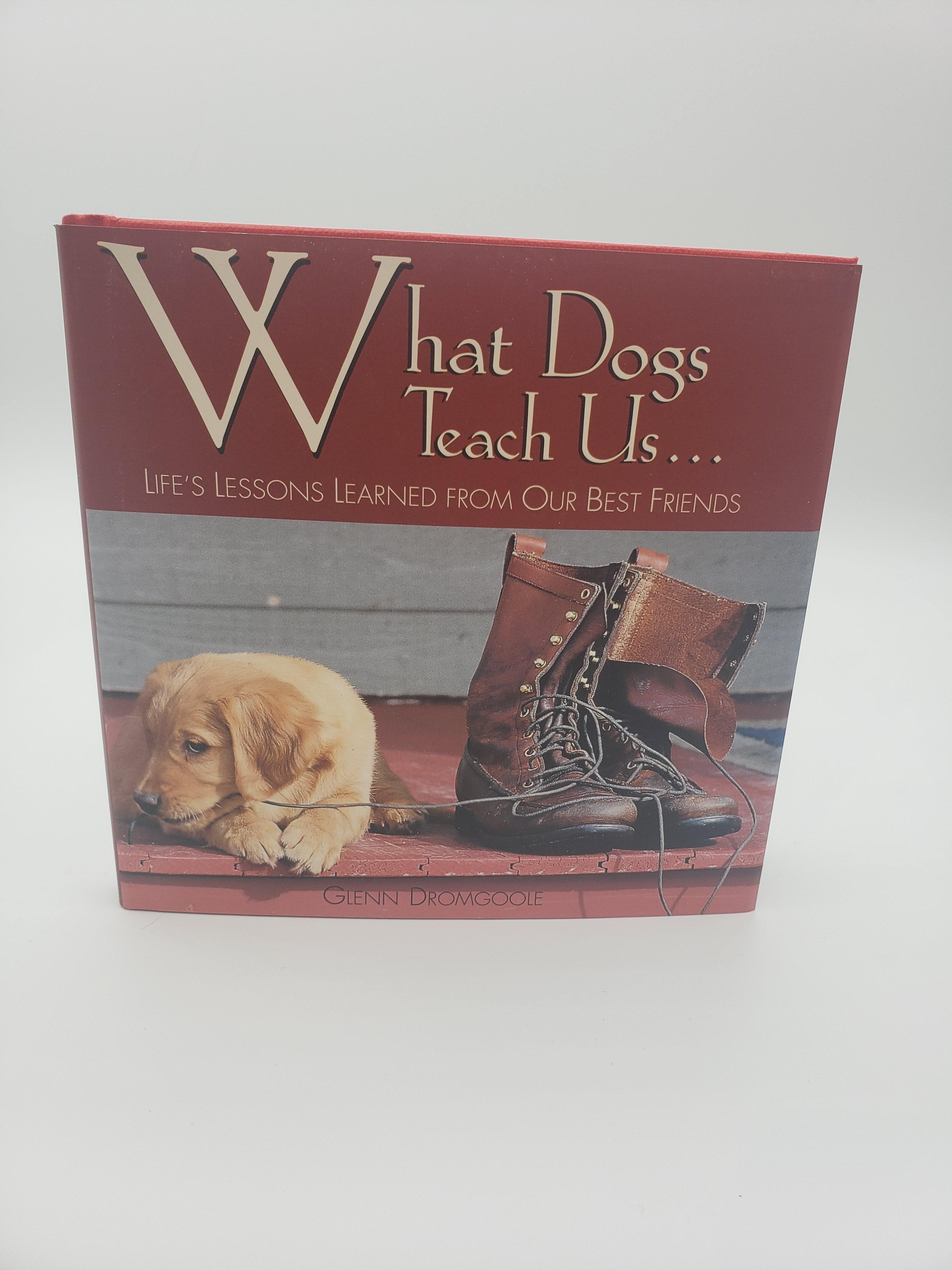 What Dogs Teach Us... Life's Lessons Learned from Our Best Friends - Rocky & Maggie's Pet Boutique and Salon