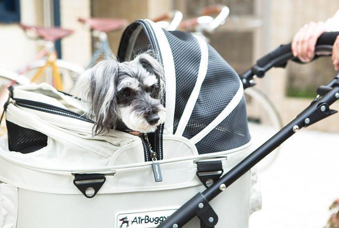 Air buggy stroller for dogs online