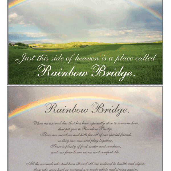 Rainbow Bridge Sympathy Card - Rocky & Maggie's Pet Boutique and Salon