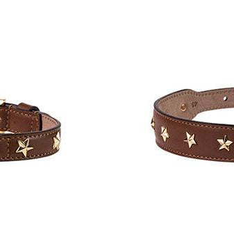 Stud Star Collar - Rocky & Maggie's Pet Boutique and Salon