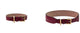 Frida Firenze Plain Antique Collar in burgundy leather with a gold rectangular buckle, shown from two angles.
