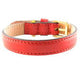 Frida Firenze red leather dog collar with antique-style stitching and a gold buckle