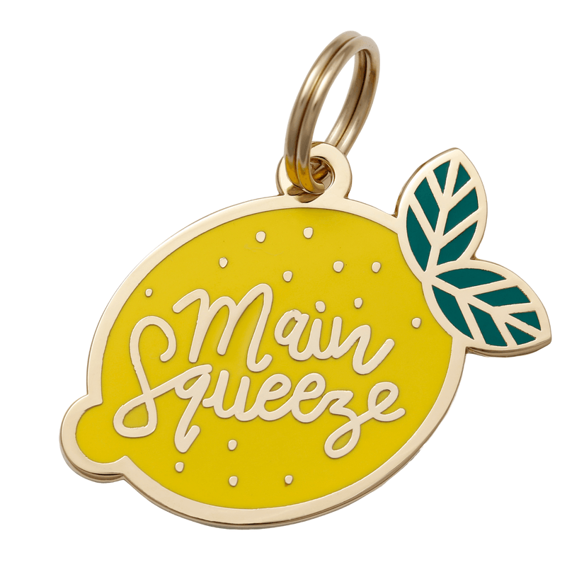 Main Squeeze Pet ID Tag - Rocky & Maggie's Pet Boutique and Salon