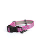 Everyday Collar - Rocky & Maggie's Pet Boutique and Salon
