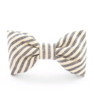 Charcoal Stripe Dog Bow Tie - Rocky & Maggie's Pet Boutique and Salon