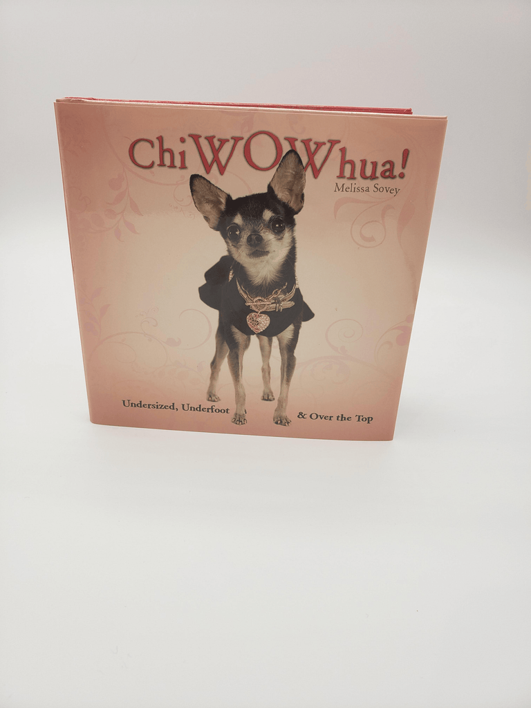 ChiWOWhua! Undersized, Underfoot & Over the Top - Rocky & Maggie's Pet Boutique and Salon