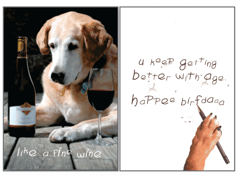 Like A Fine Wine Birthday Card - Rocky & Maggie's Pet Boutique and Salon