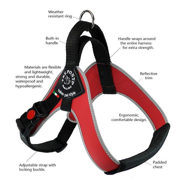 Brio Harness