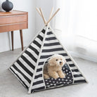 Teepee Max - Rocky & Maggie's Pet Boutique and Salon