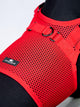 Martingale Dog Harness - Rocky & Maggie's Pet Boutique and Salon