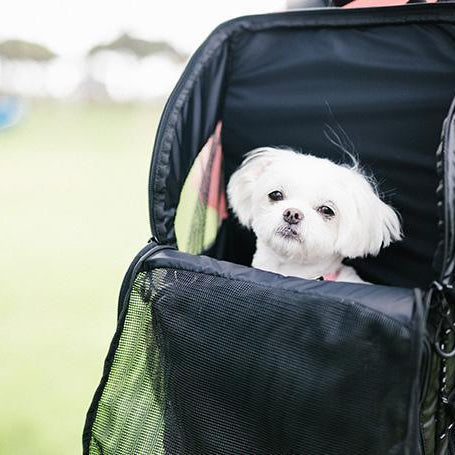 3 Way Backpack Carrier - Rocky & Maggie's Pet Boutique and Salon