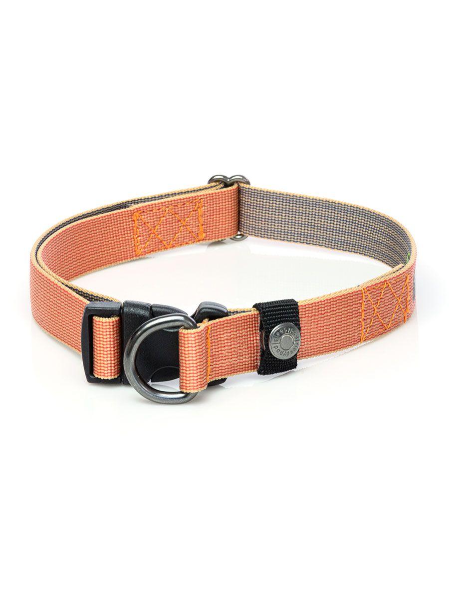 Locking best sale dog collar