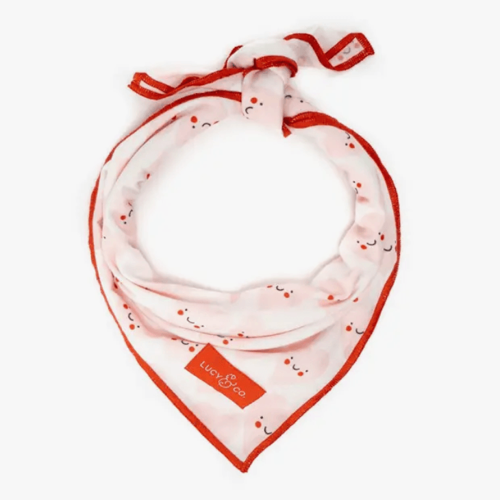 Limited Edition! Yours Truly Valentine's Bandana - Rocky & Maggie's Pet Boutique and Salon
