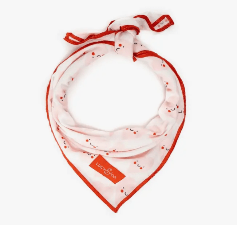 Limited Edition! Yours Truly Valentine's Bandana - Rocky & Maggie's Pet Boutique and Salon