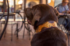 Sunflowers Leather Collar - Rocky & Maggie's Pet Boutique and Salon