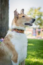 Sunflowers Leather Collar - Rocky & Maggie's Pet Boutique and Salon