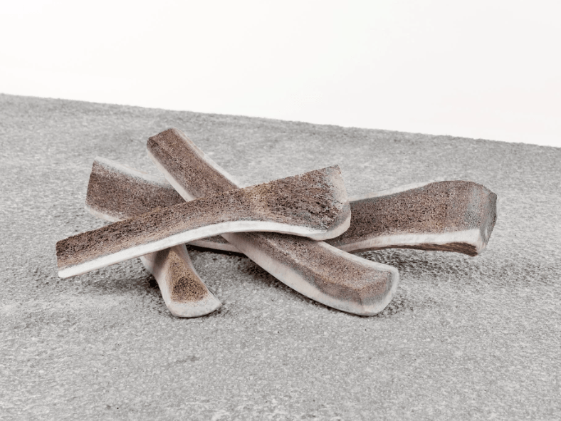 Primal Elk Antlers - Rocky & Maggie's Pet Boutique and Salon