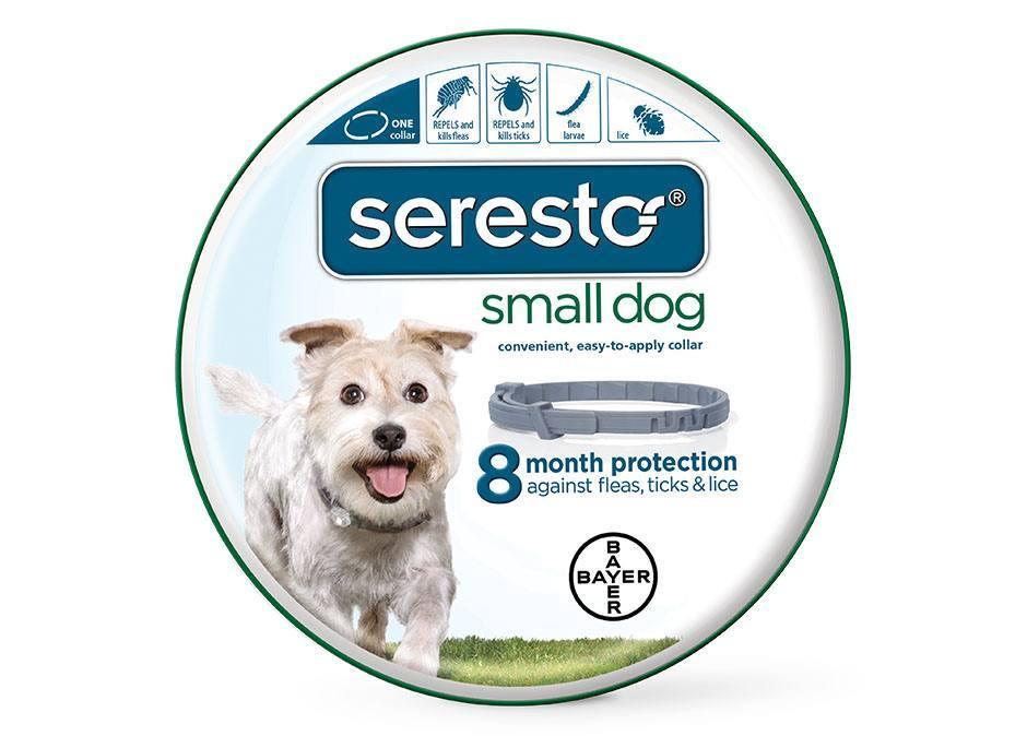 Seresto® Flea and Tick Collar for Dogs - Rocky & Maggie's Pet Boutique and Salon