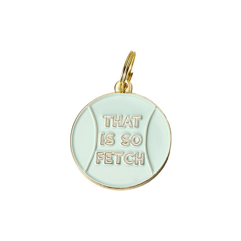 That is So Fetch Pet ID Tag - Rocky & Maggie's Pet Boutique and Salon