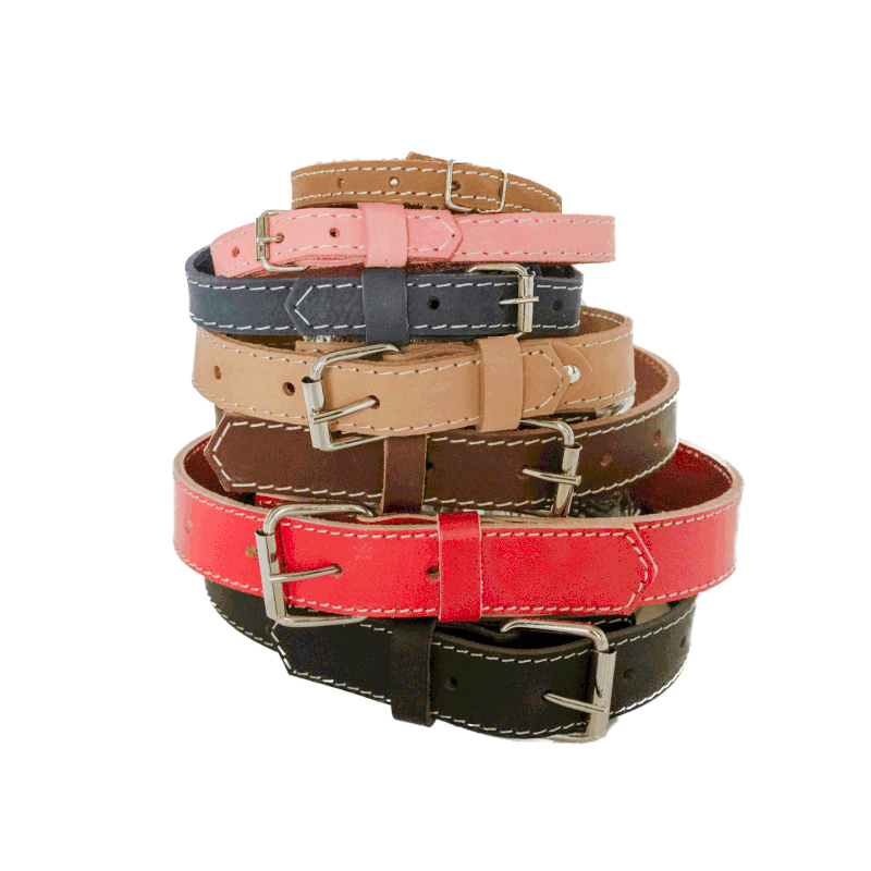 Euro Dog Traditional Buckle Collar Med - Rocky & Maggie's Pet Boutique and Salon