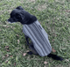 100% Hand-Woven Dog Poncho - Rocky & Maggie's Pet Boutique and Salon
