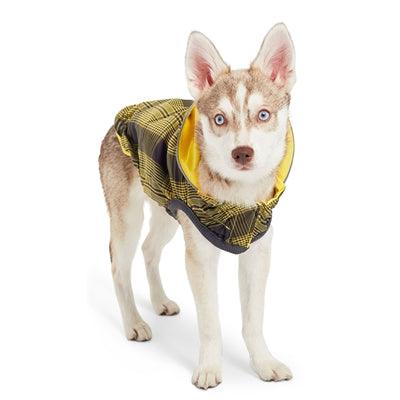 Yellow Reversible Raincoat by GF Pet - Rocky & Maggie's Pet Boutique and Salon