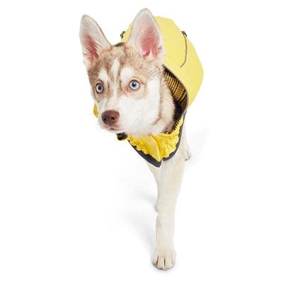Yellow Reversible Raincoat by GF Pet - Rocky & Maggie's Pet Boutique and Salon